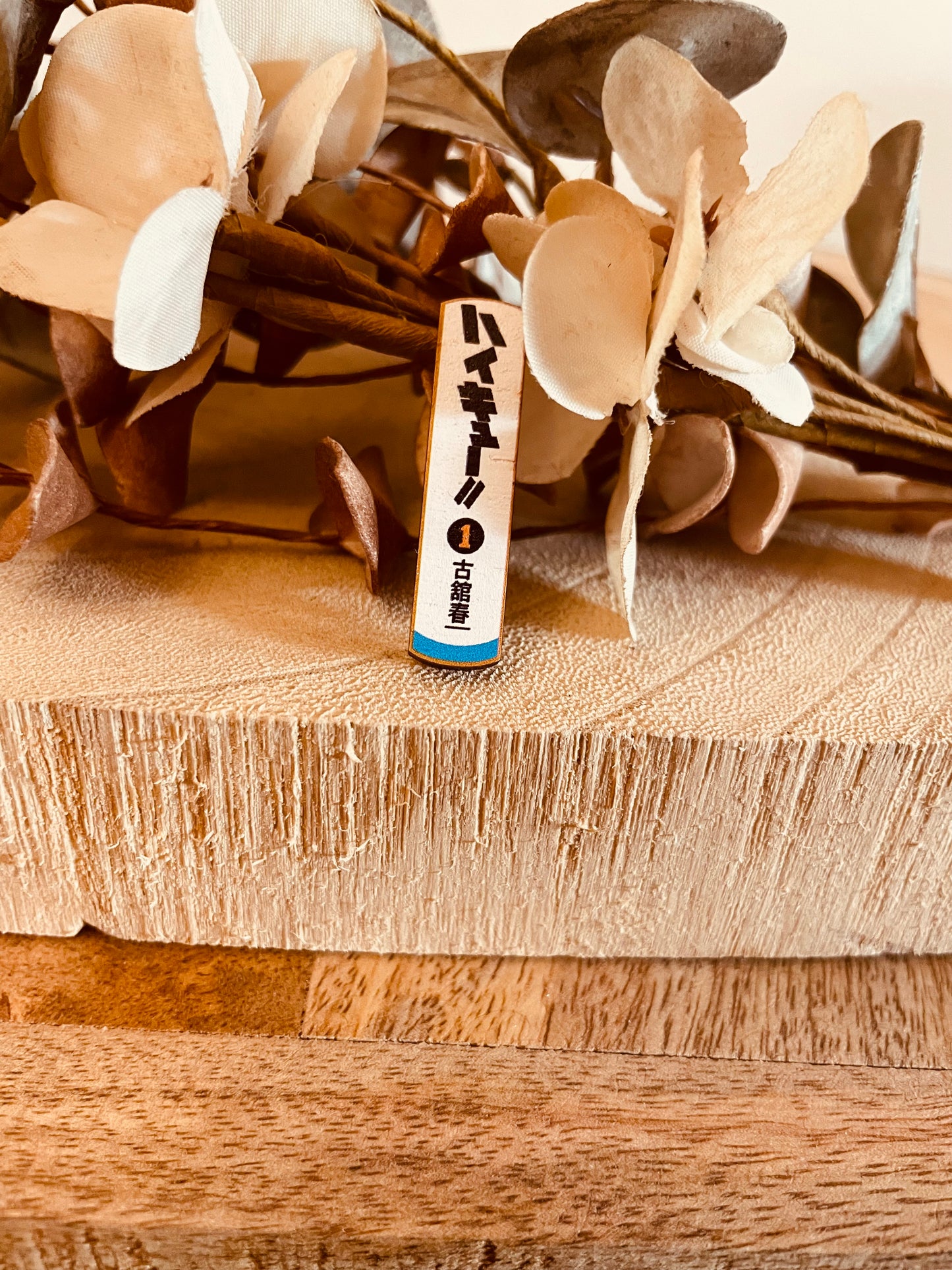 Calamita manga pallavolo