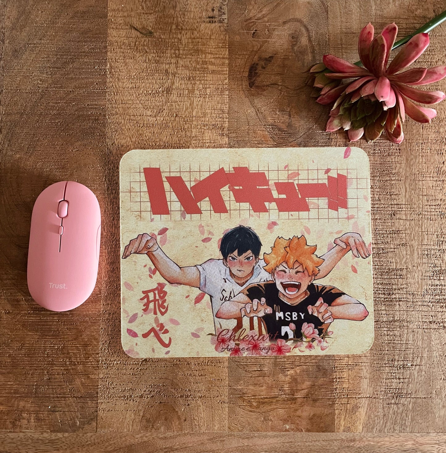 Mousepad Pallavolisti