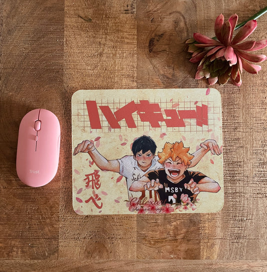 Mousepad Pallavolisti